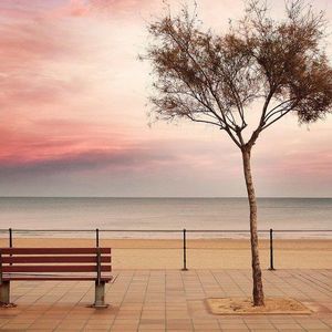 Meet your Posher, Ernesto